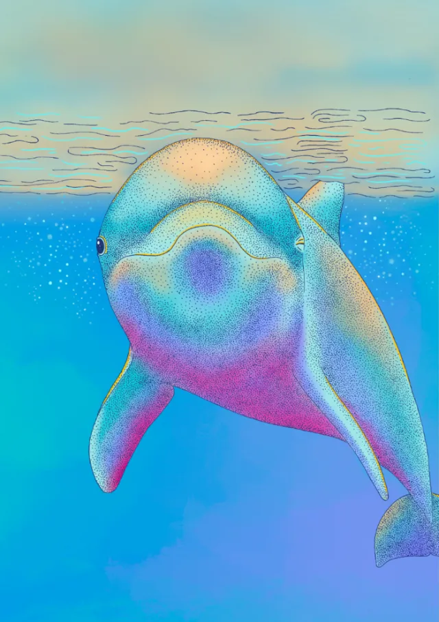 Colorful underwater whale illustration by Angela Salerno