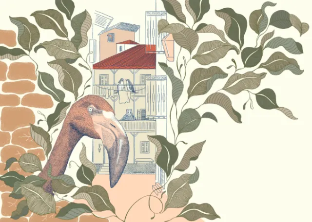 Illustration by Angela Salerno of a toucan framed by foliage and city buildings