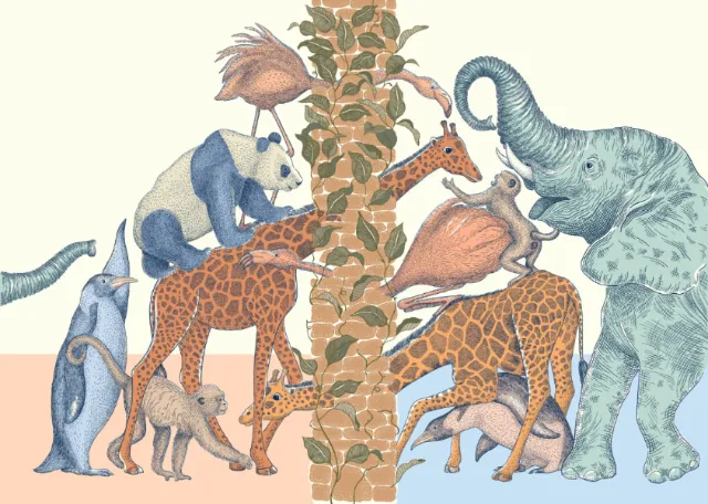 Angela Salerno illustration of giraffes, elephants, monkeys, and aquatic animals