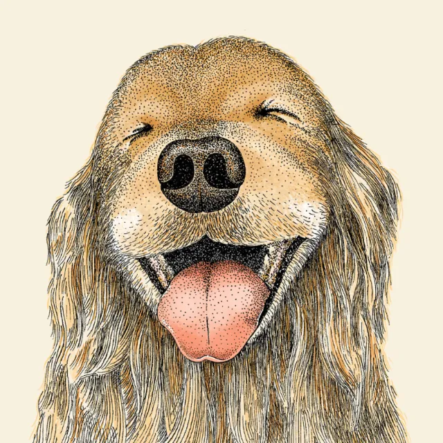Angela Salerno illustration of a smiling shaggy dog with its tongue out
