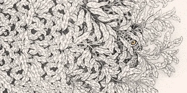 Detailed foliage illustration with a hidden owl by Angela Salerno