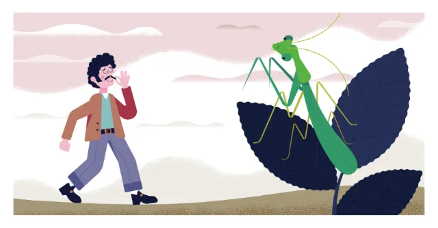 Illustration by Tim Bradford of a person walking beside a praying mantis