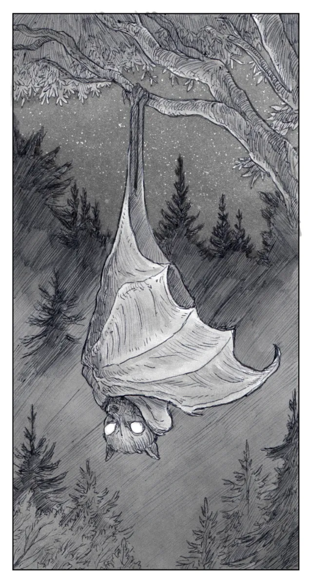 Rino Pelli illustration of an upside-down winged creature hanging from a tree