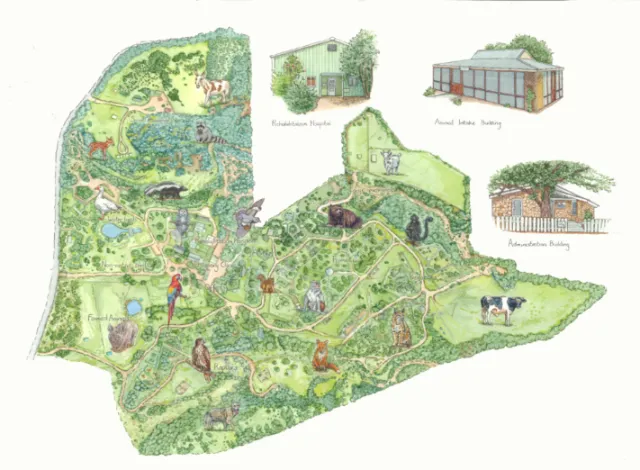 Illustrated wildlife rescue centre map by Liz Pepperell