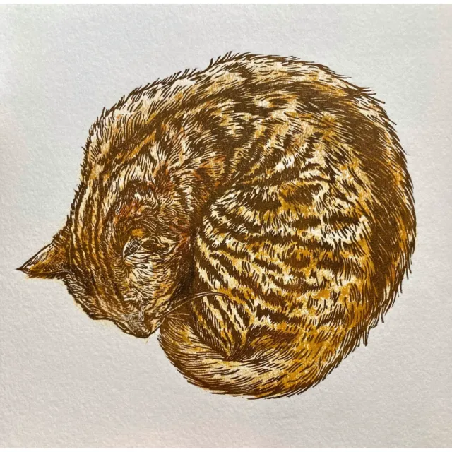 Emily Robertson's colored linocut illustration of a sleeping curled cat