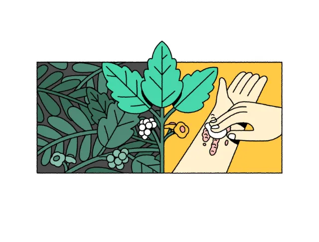Joseph Carrington illustration of green foliage and a hand holding delicate jewelry.