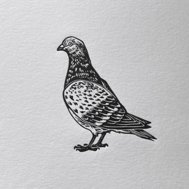 Pigeon linocut print by Emily Robertson
