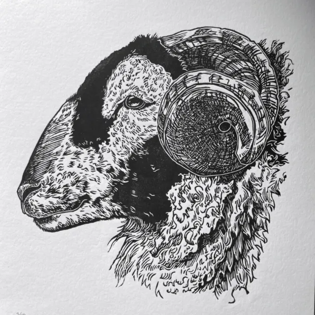 Lino cut print of a ram's head by Emily Robertson