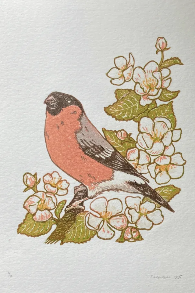 Emily Robertson's linocut print of a bullfinch among apple blossoms