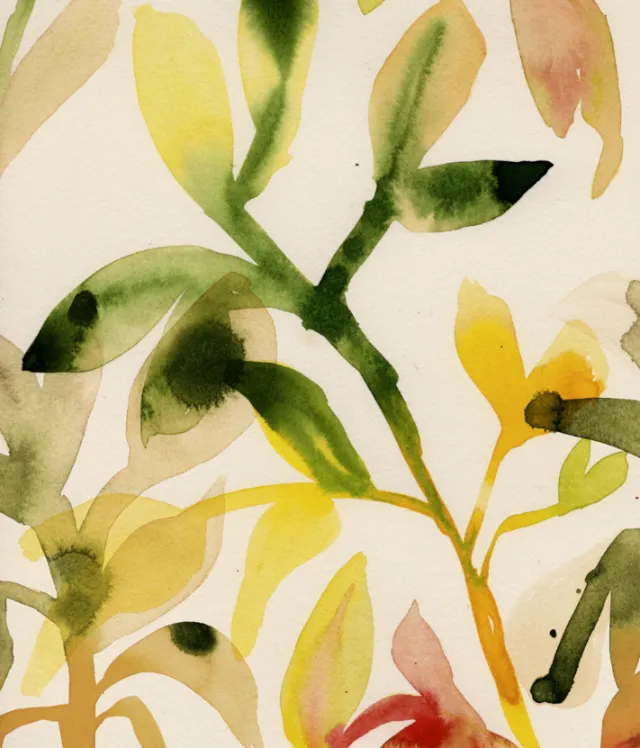 Botanical watercolor leaves and stems by Nadia Flower