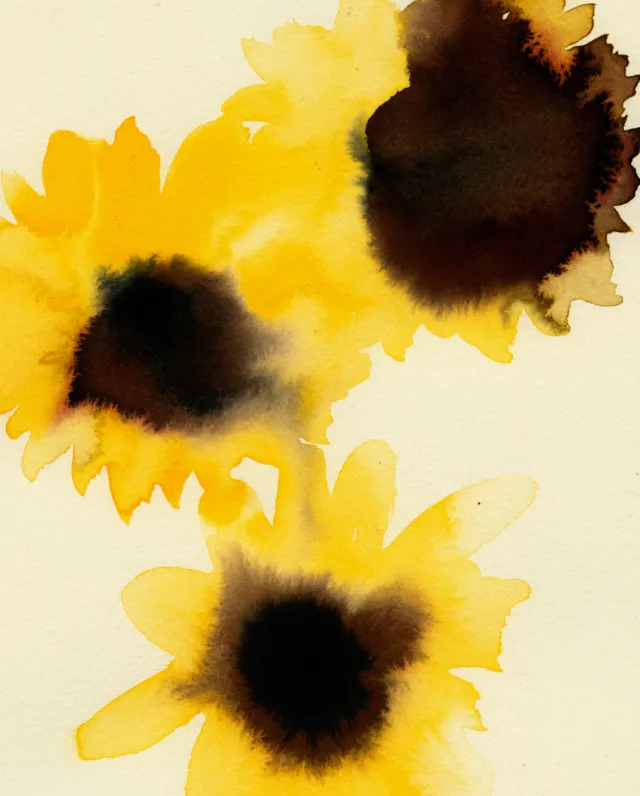 Watercolor painting of three yellow sunflowers by Nadia Flower