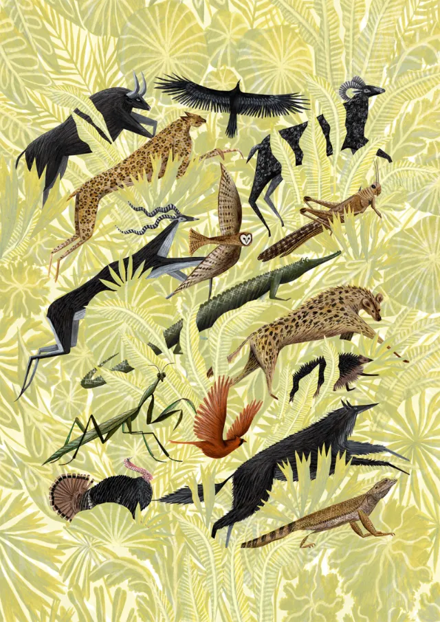 Rosanna Tasker illustration of giraffes, birds, insects, and tropical foliage