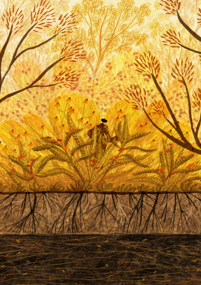 Autumn forest with golden trees and exposed roots, illustrated by Rosanna Tasker.