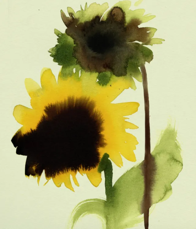 Nadia Flower watercolor painting of two sunflowers with dark centers and green leaves