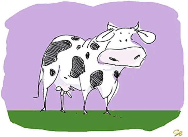 Cartoon black-and-white cow standing on grass by Silke Bachmann
