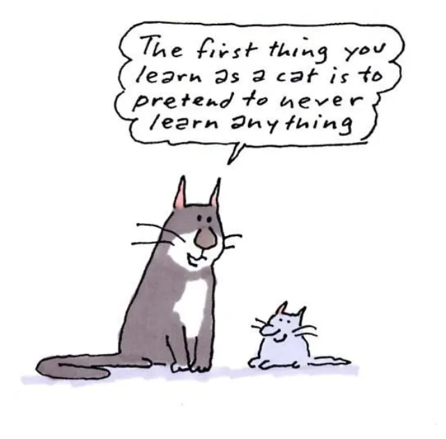 Cartoon illustration of cat and kitten communication by Gray Jolliffe