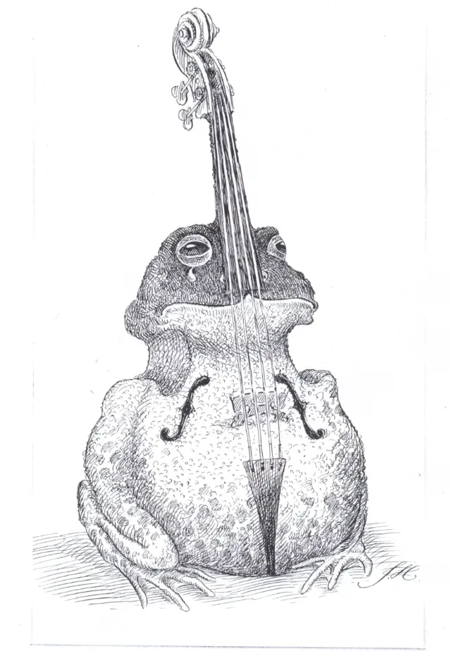 Black and white frog integrated with a cello by John Holder