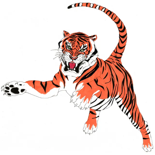 Tiger pouncing illustration by Sarah Beetson