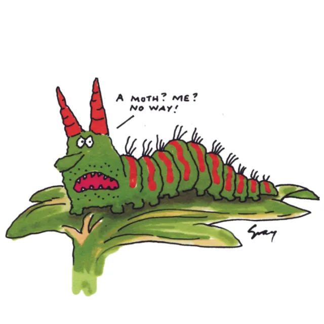 Cartoon caterpillar illustration by Gray Jolliffe