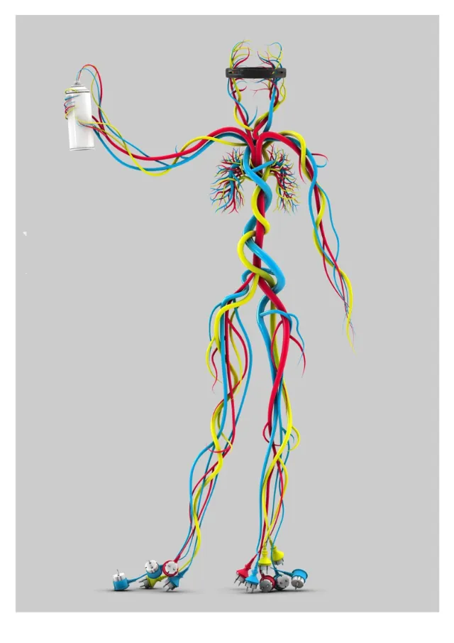 3d human anatomy