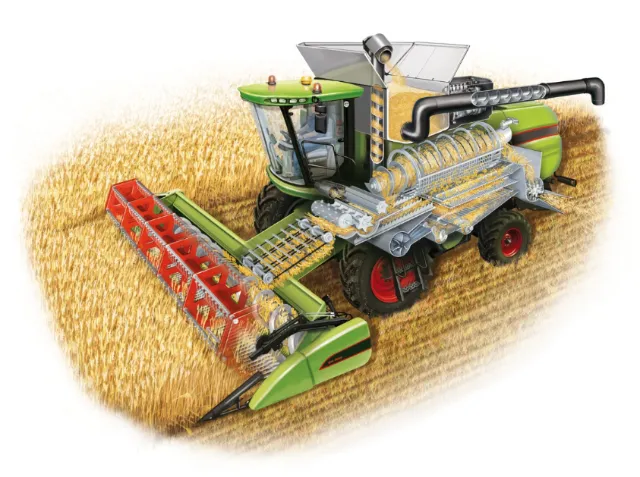 Modern combine harvester harvesting wheat, illustration by Eberhard Reimann