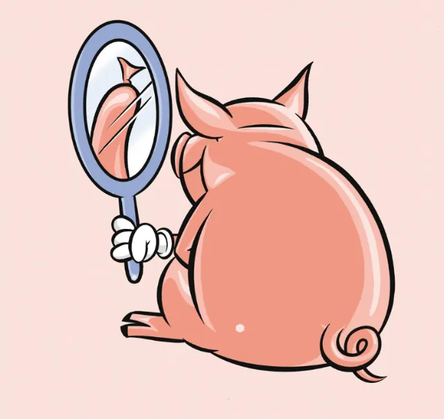 Pig seeing in mirror