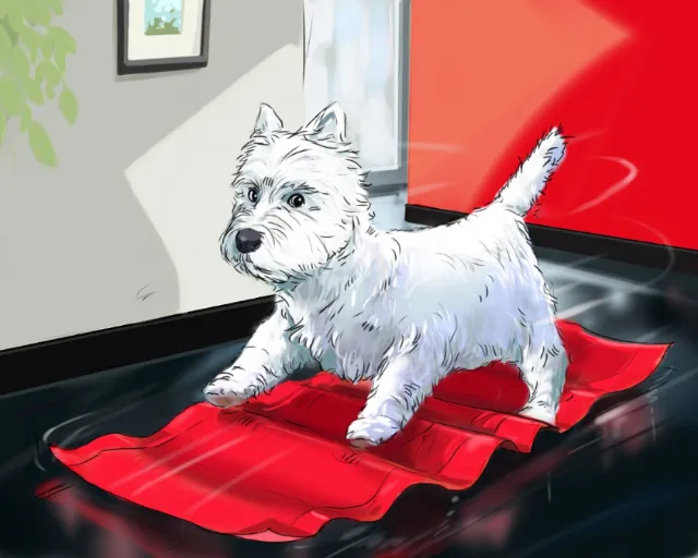 Small dog on a door mat, heavy wind pushing the animal, red cloth on the floor