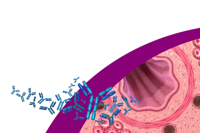  Antibodies and airway for Xolair product launch illustration