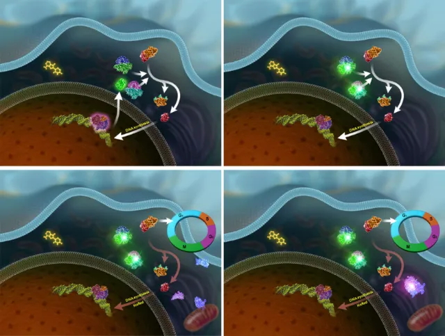 DNA sample illustration
