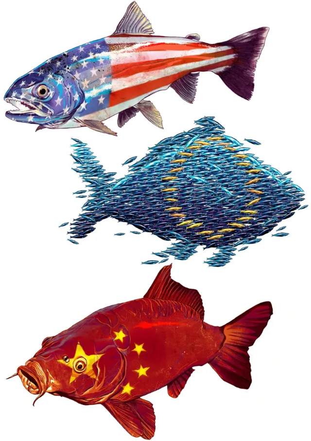 Fish painted with American, European Union, and Chinese flags by POW!!!