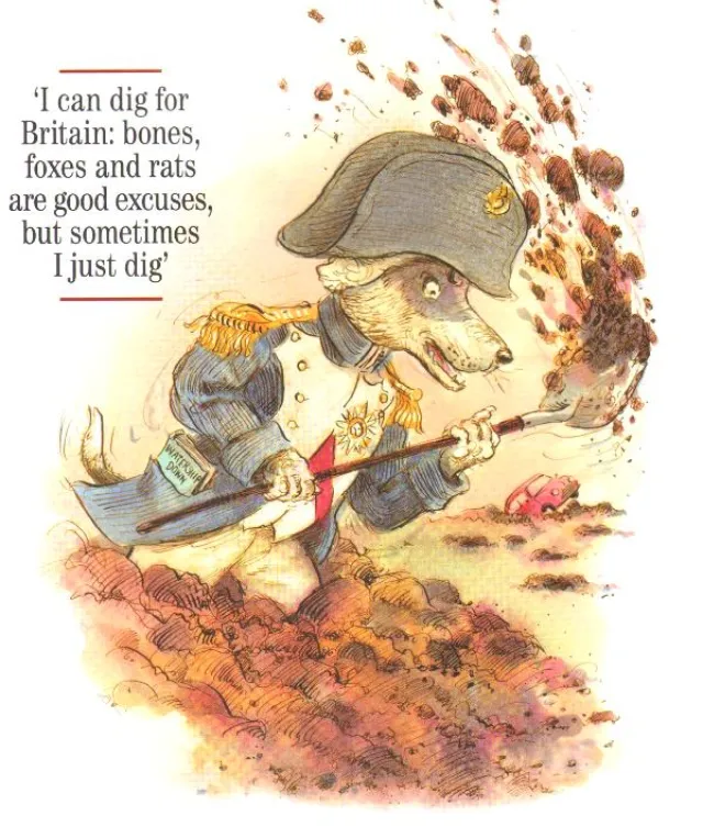 Cartoon & Humour dog soldier