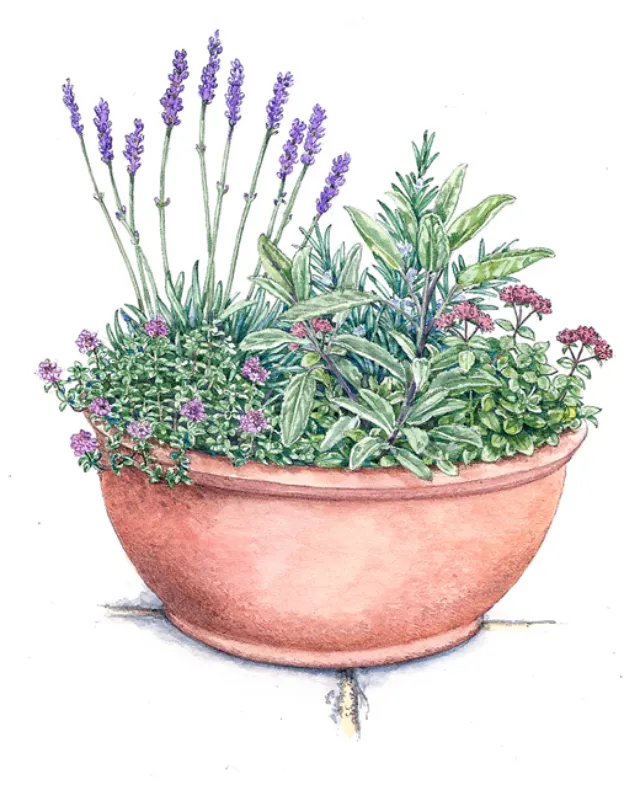 Flower pot pastel painting