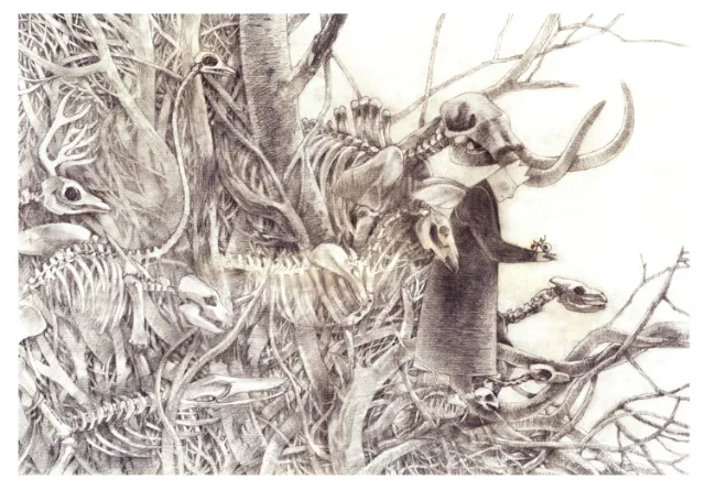 Line illustration of dead animals
