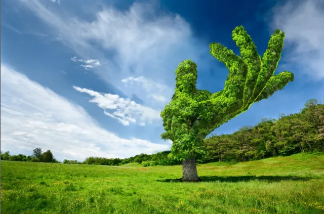 Tree shaped like a hand in a green field by RIVE GAUCHE