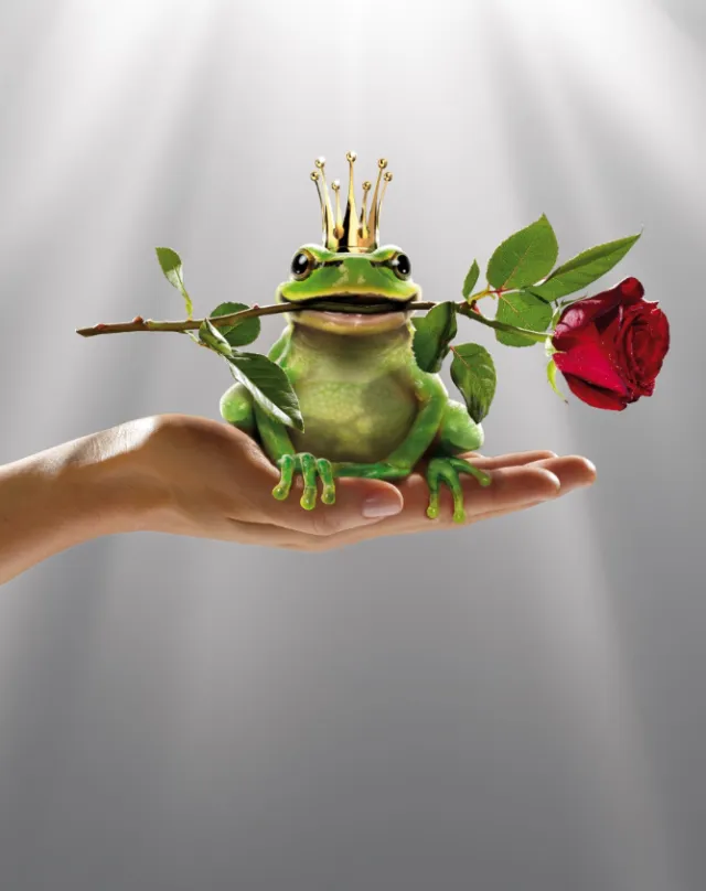 Frog with gold crown holding red rose on a human hand by Frank Neidhardt