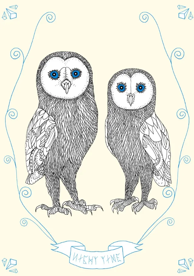 Animals Owl