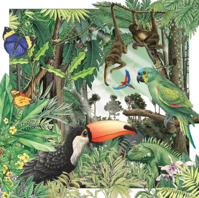 Illustration of birds in the forest by Alan Baker