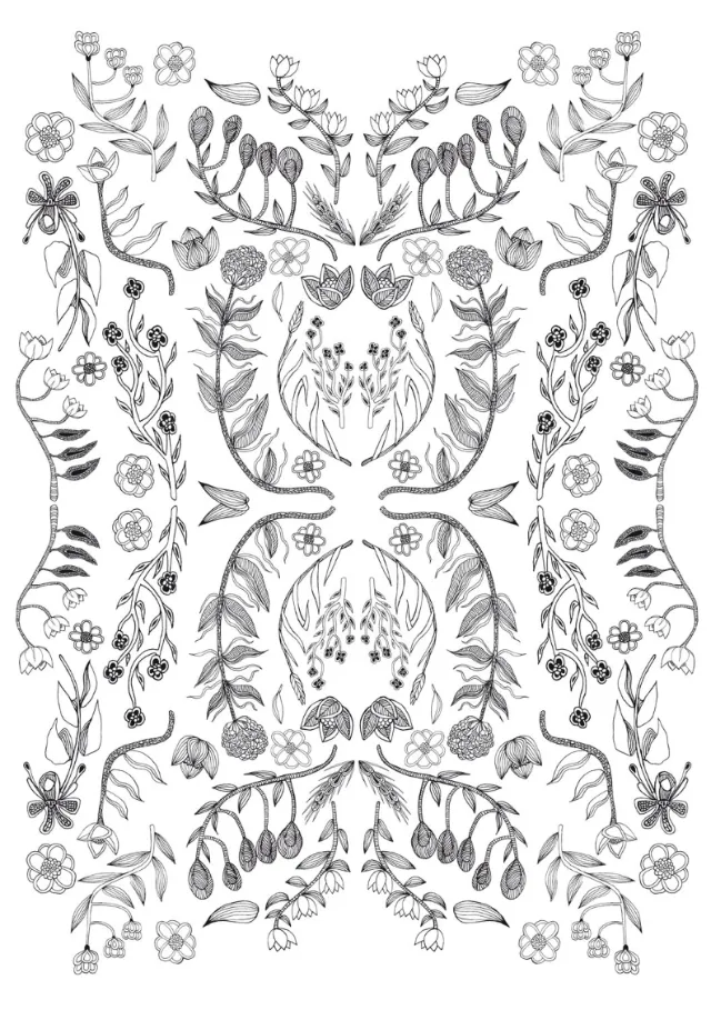 Line Illustration flowers