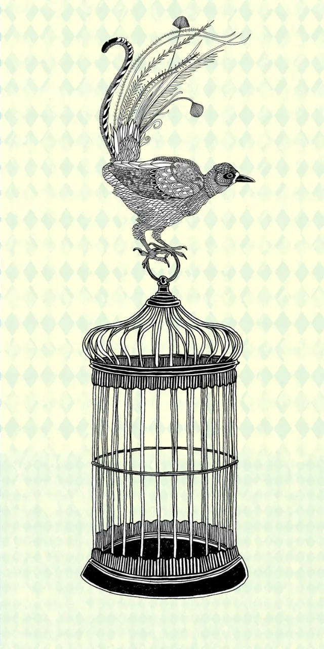 Animals peacock on cage