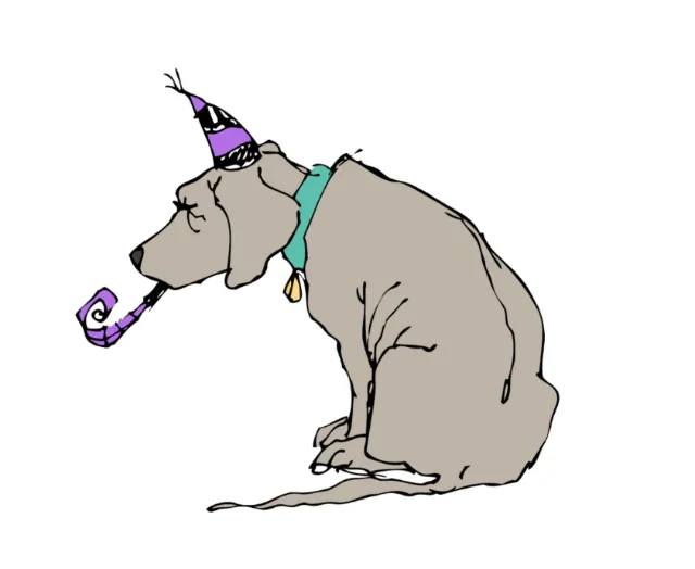 Gray dog wearing party hat and blowing party blower by Katharina Madesta
