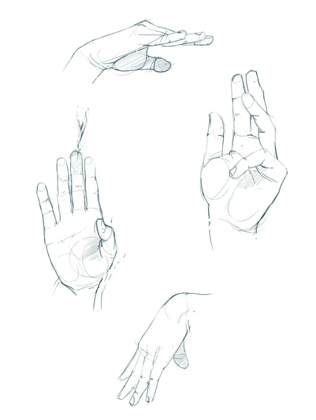 Black & white illustration of palm and fingers