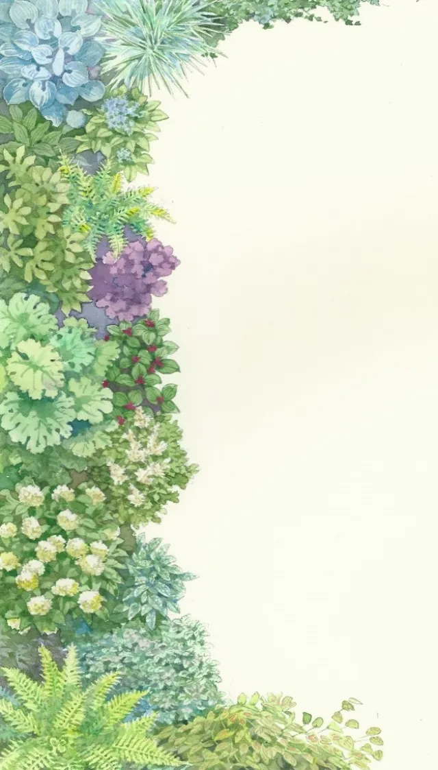 Illustration of Garden plan