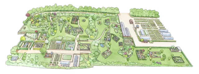 Illustrated garden layout plan by Liz Pepperell