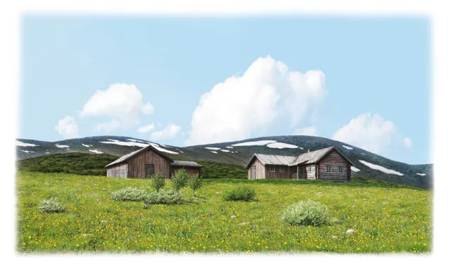 Wooden cabins in alpine meadow with mountains and sky by Eberhard Reimann