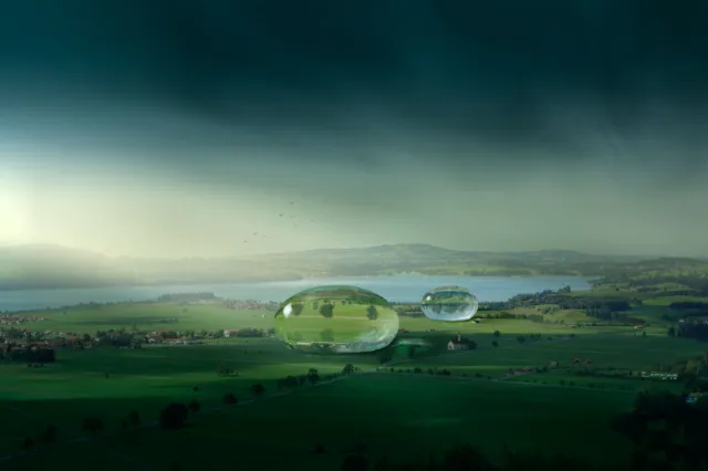 Green landscape with floating transparent bubbles by Tom Krieger