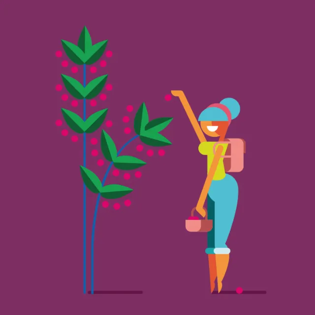 Graphic girl plucking flowers