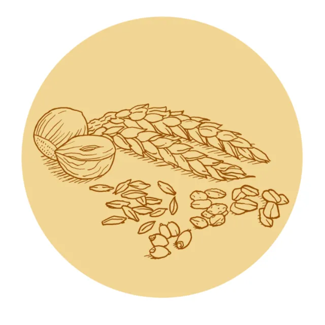 Line drawing of wheat and nuts by Andreas Schickert