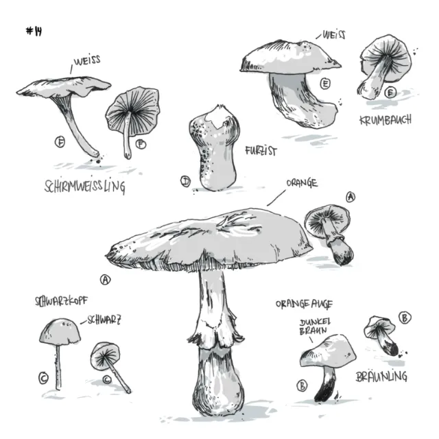 Black and white illustration of mushrooms