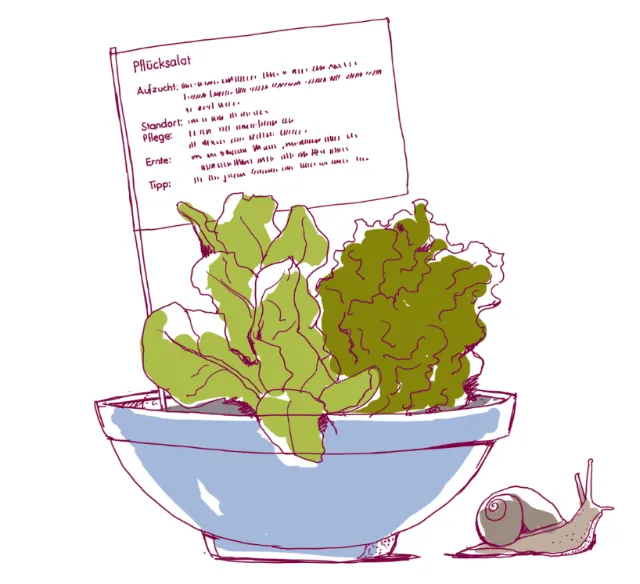 Illustration of lettuce in a bowl beside a snail by Andreas Schickert