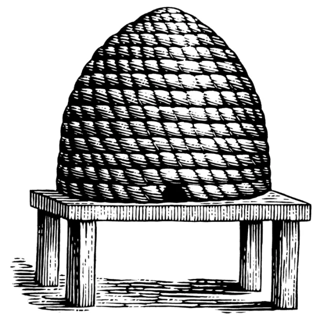 Wood engravng & Etching design